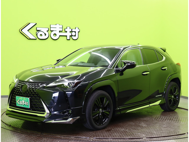 UX300e バージョンL