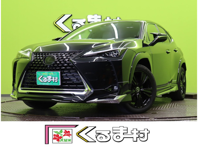 UX300e バージョンL