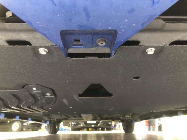 �I�C���R�ꓙ����