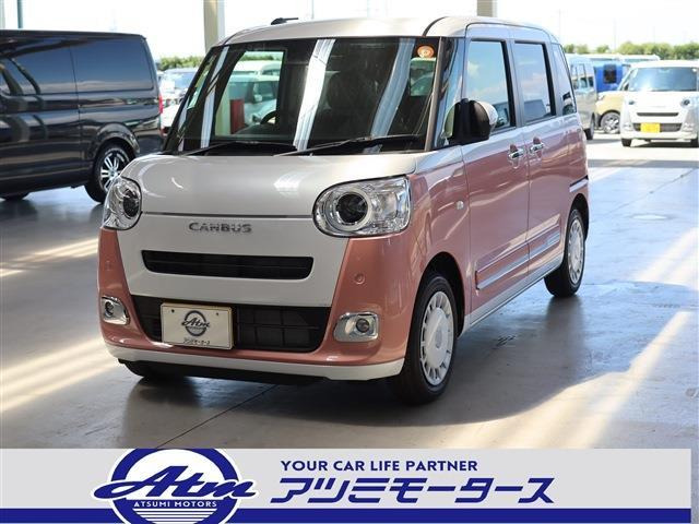 ムーヴキャンバスストライプス G