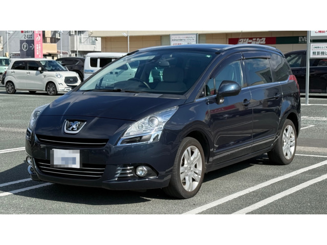 5008(�v�W���[) �V�G���@�K���X���[�t �w�b�h�A�b�v�f�B�X�v���C ���Îԉ摜