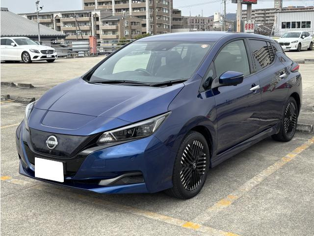 リーフX Vセレクション