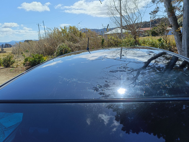 ���[�t��蹊Q������܂���B