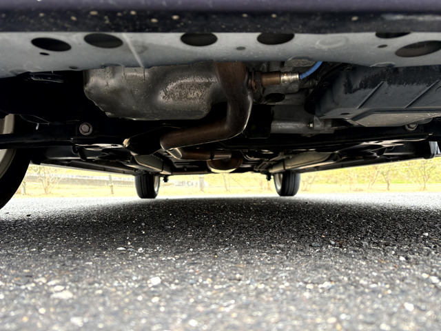 ���������ꂢ�ȏ�Ԃł��B�C�ɂȂ�傫�ȃT�r���͂���܂���