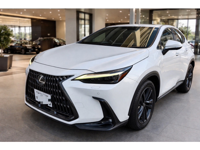 NX350h バージョンL