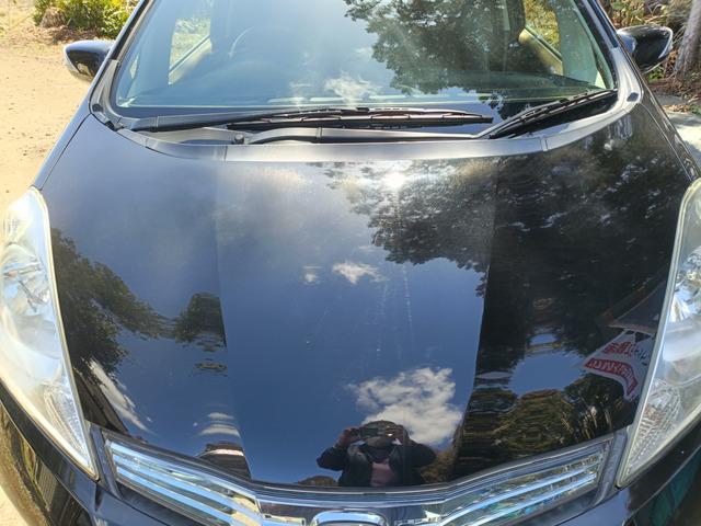 �{���l�b�g�ł��B�ڗ��悤�ȉ��݂͂���܂��񂪈ꕔ�F�Ƃт���܂��B