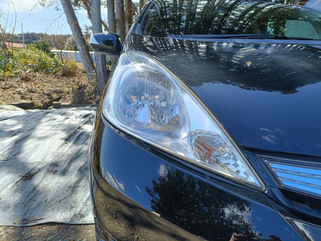 �E�w�b�h���C�g�ł��B