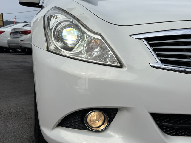 ����HID�w�b�h���C�g&�n���Q���t�H�O