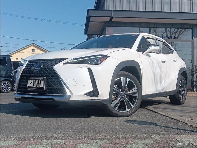 UX(レクサス) 250h バージョンL　ユーザー買取車 全周囲カメラ ナビ TV 中古車画像