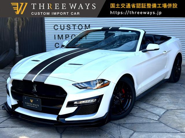 �}�X�^���O�R���o�[�`�u���i�t�H�[�h�jCar�t�@�b�N�X&amp;�I�[�g�`�F�b�N�L�� ���Îԉ摜