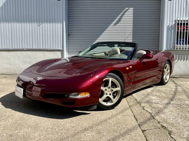 �R���x�b�g�R���o�[�`�u���i�V�{���[�j50���N�L�O���f���@�[�Ԑ���&amp;���N�ۏؕt�� ���Îԉ摜