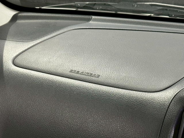 �y����w�G�A�o�b�N�z�����B