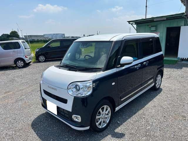 ムーヴキャンバスストライプス G