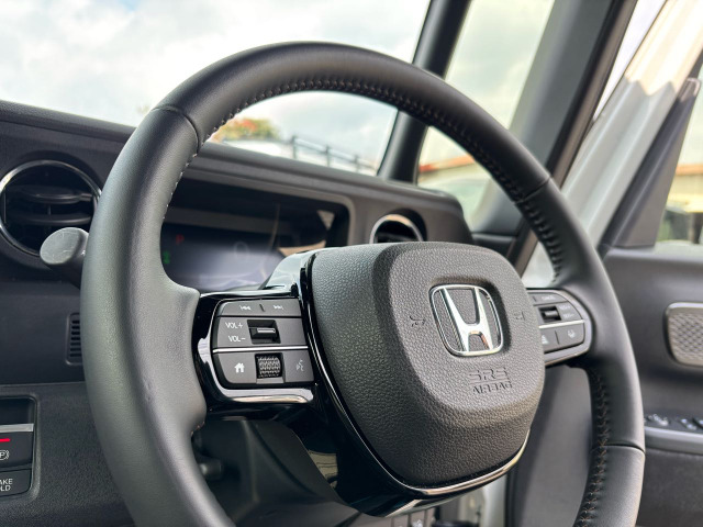 �X�e�A�����O�X�C�b�`�E�p�h���V�t�g�E�g�[�N�X�C�b�`