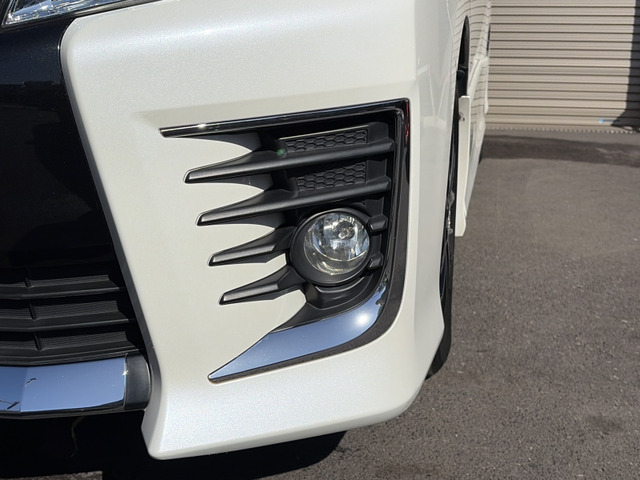 �y�t�H�O�����v�z