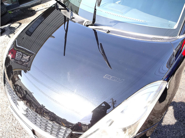 �����̉��A���F�A���Ȃ�ǍD�ȃR���f�B�V�������L�[�v��