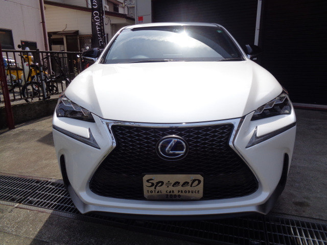 NX300h Fスポーツ