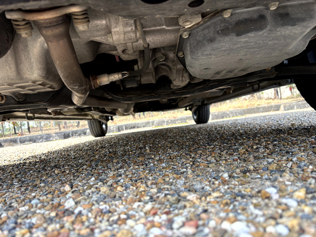 �����ɋC�ɂȂ�傫�ȃT�r������܂���