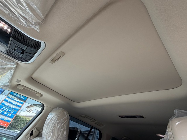 �V������ܘ_�A�Y��ł��B