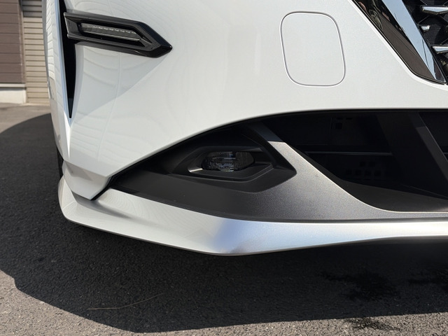 �y�t�H�O�����v�z