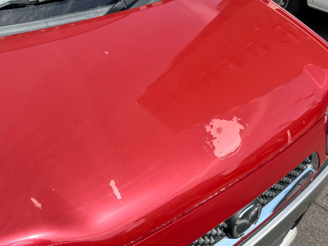 �����ДF�؍H�ꁚ���X�́A�������^�ǔF�؍H����������Ă���܂�!���ЂŎd���ꂵ���Ԃ𐮔��A�Ԍ����s���A�X���ɕ��ׂĂ���܂�!������̏C���̍ۂ��A���X�őΉ��\�ł��̂ň��S���Ă����߂�������!