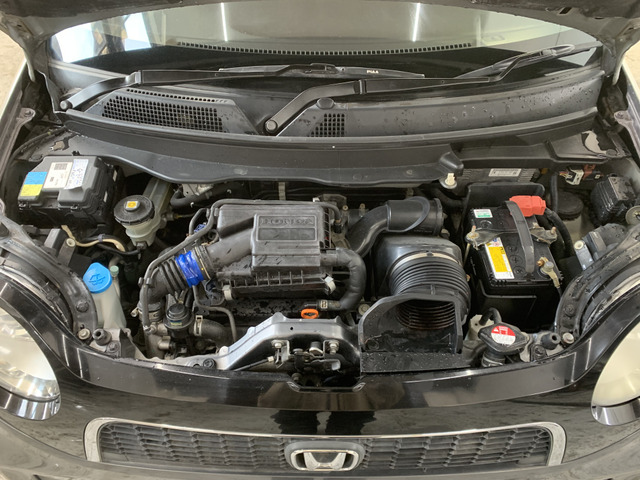 ����]�̂��Ԃ����q�l�ƈꏏ�ɂ��T�����邱�Ƃ��\�ł�!�܂��͂���]�������������������B