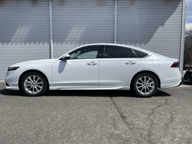 ���F�̓v���`�i�z���C�g�p�[�� ��