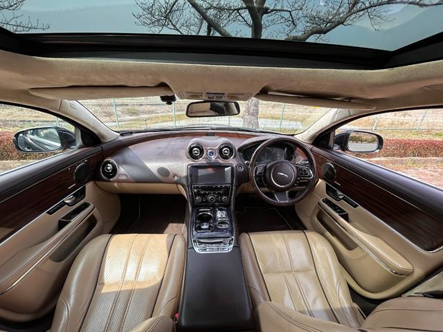 XJXJ プレミアム ラグジュアリー