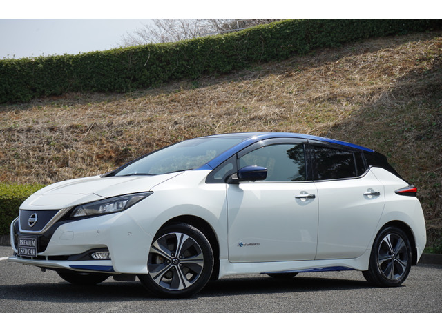 リーフ（日産）G　満充電289(306km)セグメント12 中古車画像