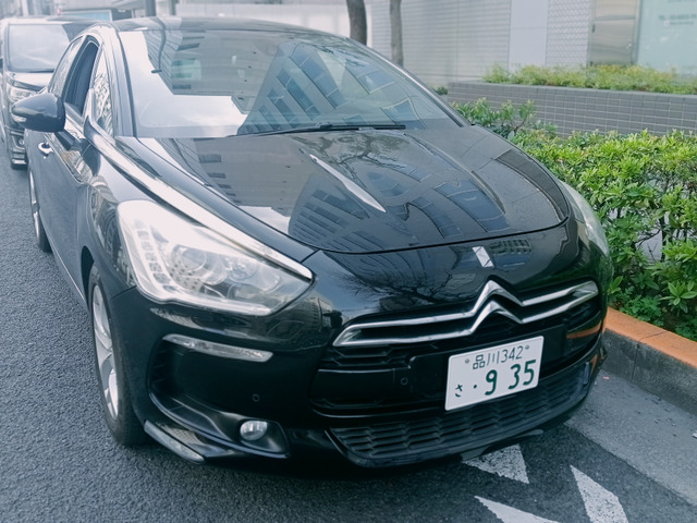 DS5シック