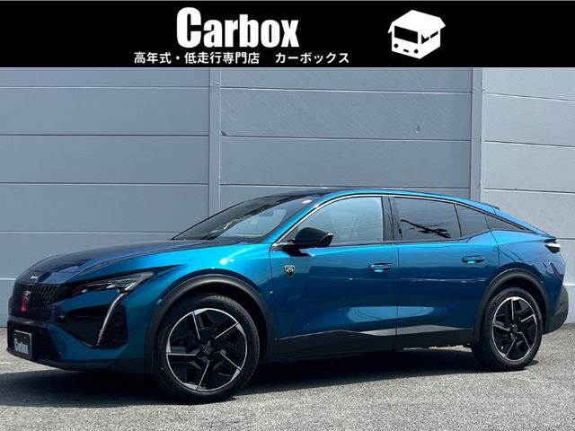 408(�v�W���[) GT �t�����` �^�b�` ���Îԉ摜