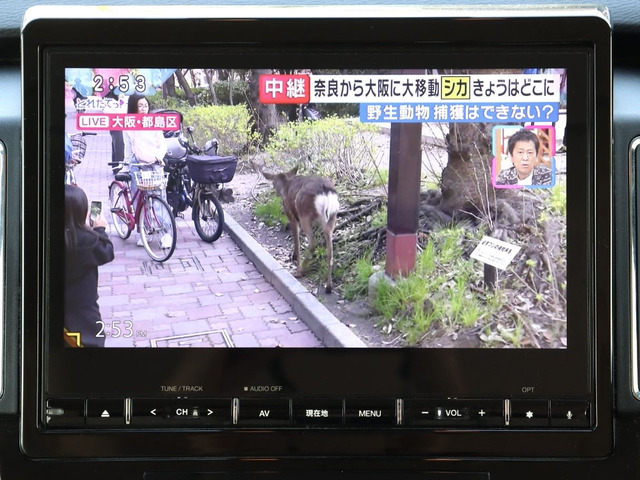 ���������n�f�WTV������(�������t���Z�O��)!!!