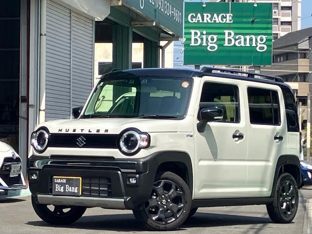 �n�X���[(�X�Y�L) �^�t���C���h�@�f���A���J�����u���[�L�T�|�[�g �i�r �t���Z�O�e���r ���Îԉ摜