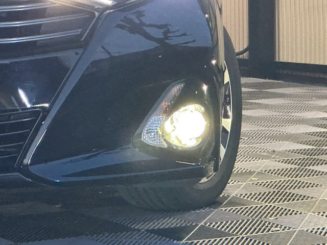 �y�t�H�O���C�g�z