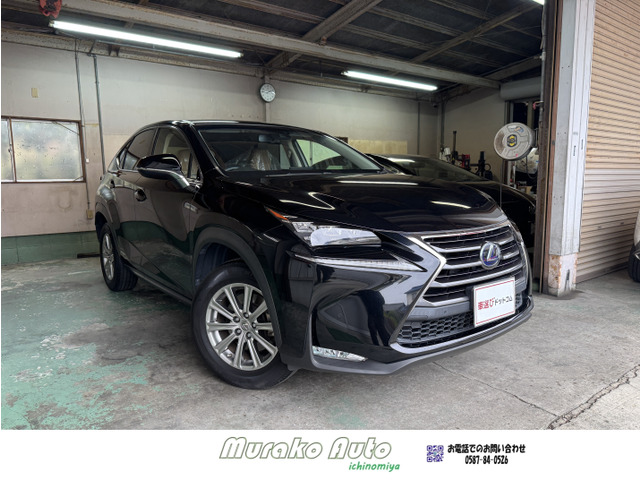 NX(���N�T�X) 300h I�p�b�P�[�W�@�։��E1�I�[�i�[�E���[�_�[�N���[�YLDA ���Îԉ摜