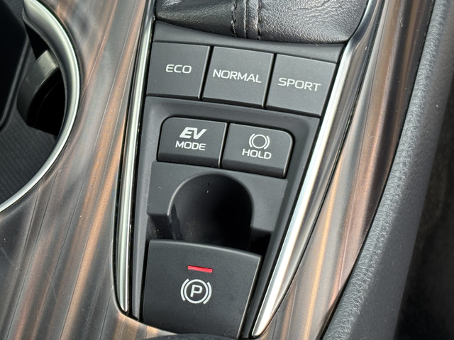 �d�q�p�[�L���O(�u���[�L�z�[���h�@�\�t��)