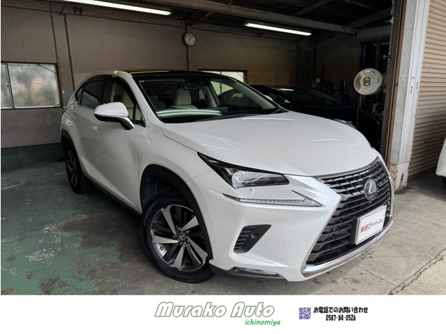 NX(���N�T�X) 300 I�p�b�P�[�W�@�։��E1�I�[�i�[�E�p�m���}���[�t ���Îԉ摜