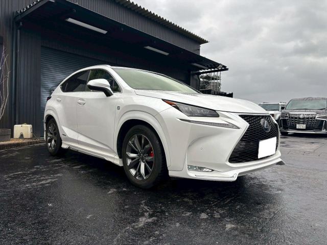NX300h Fスポーツ
