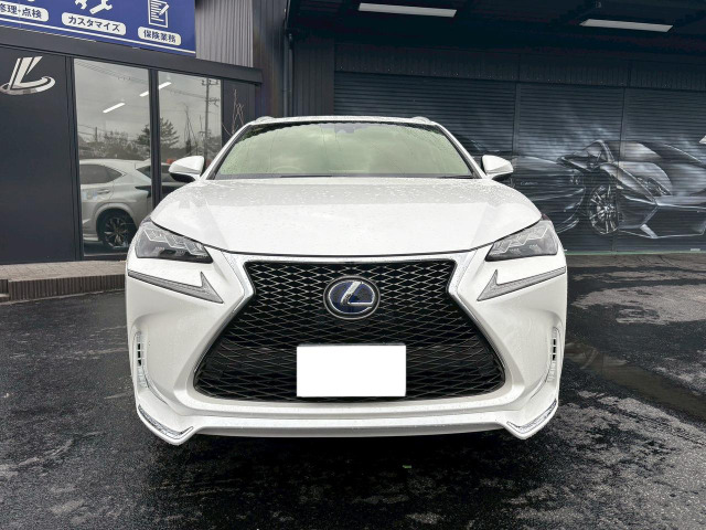 NX300h Fスポーツ