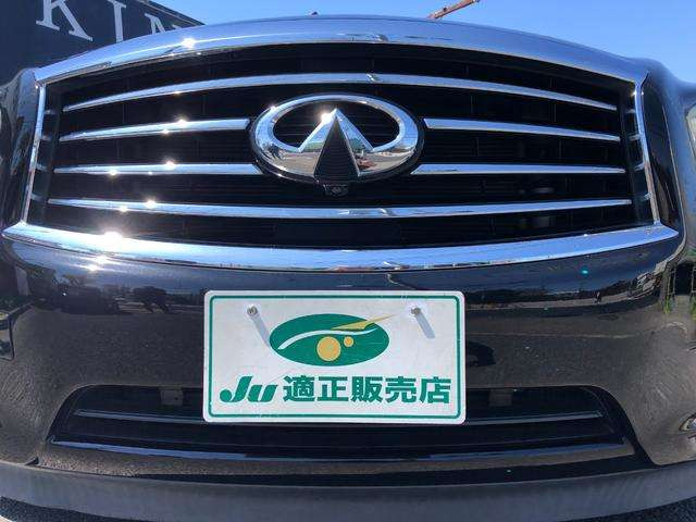 �C���t�B�j�e�B�������b�L�O����!�t�����g�J����!