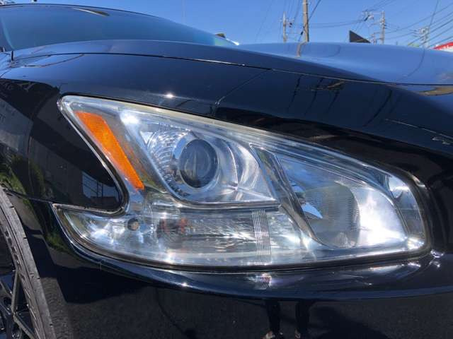 ����US�w�b�h���C�g���܂蓙���Ȃ��Y��ł��B