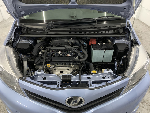 ����]�̂��Ԃ����q�l�ƈꏏ�ɂ��T�����邱�Ƃ��\�ł�!�܂��͂���]�������������������B