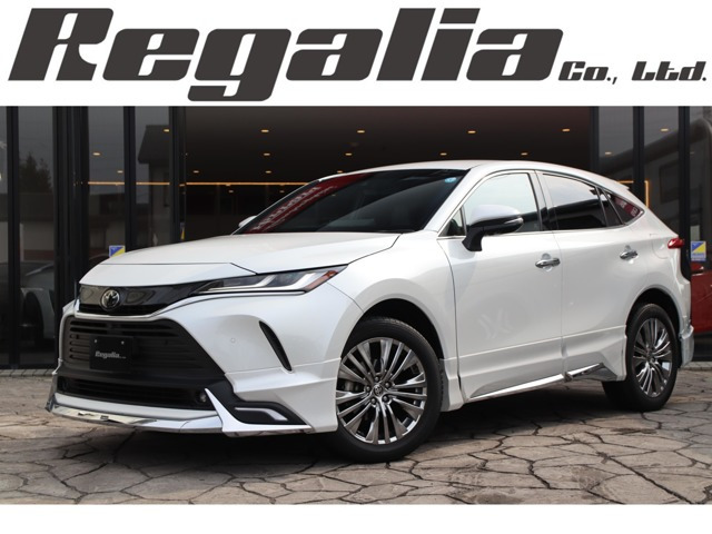 �n���A�[(�g���^) 2.0 Z�@JBL �C���i�[�~���[ 19�C���`AW ���Îԉ摜