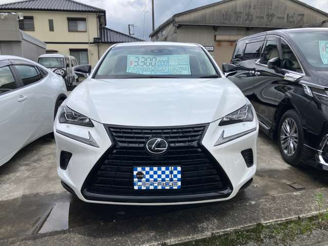 NX300 Iパッケージ
