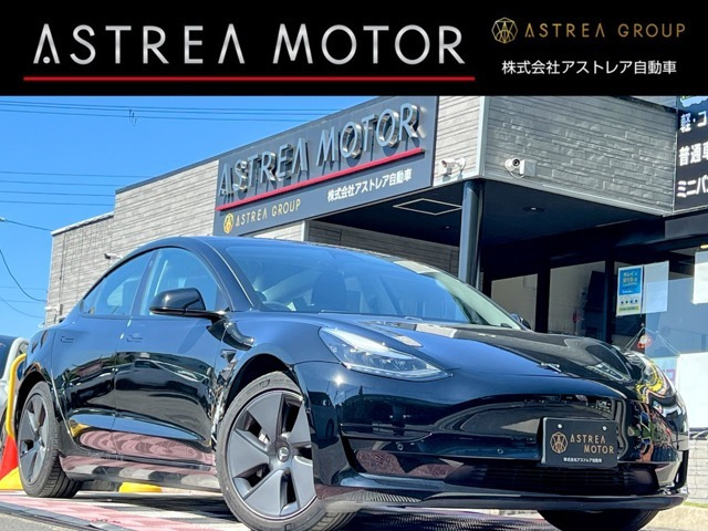 ���f��3�i�e�X���j�X�^���_�[�h�����W �v���X�@��C���f�� �I�[�g�p�C���b�g ���v�V�[�g ���Îԉ摜