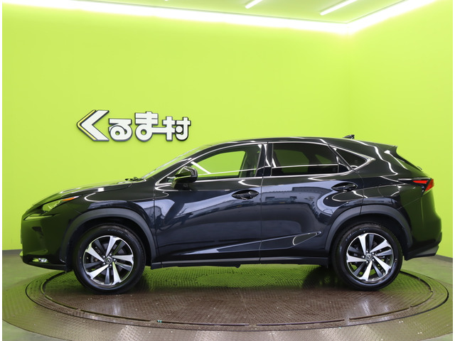 NX300 バージョンL