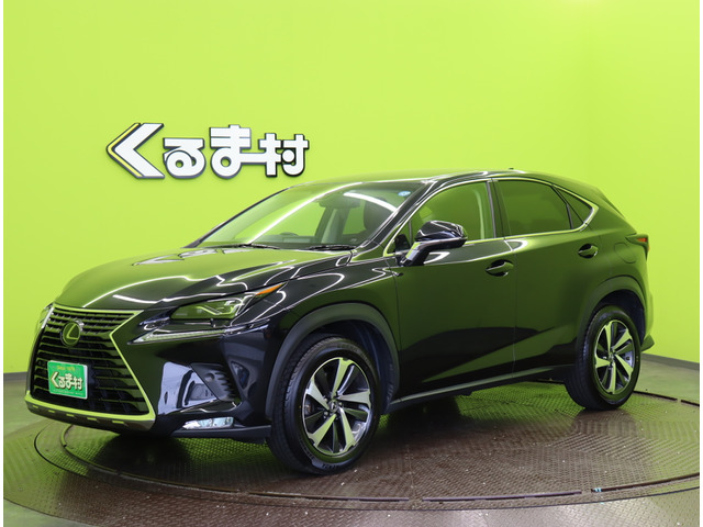 NX300 バージョンL