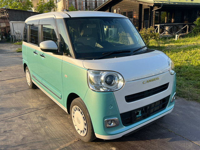 ムーヴキャンバスストライプス G