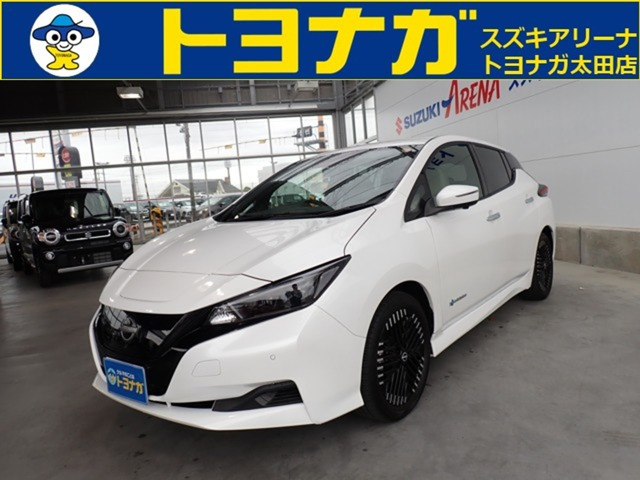 リーフX Vセレクション