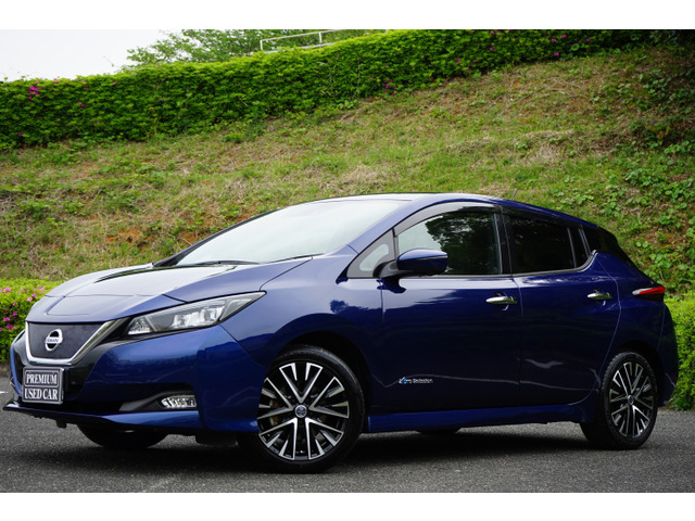 リーフX Vセレクション